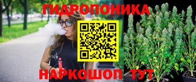 амф Лесосибирск