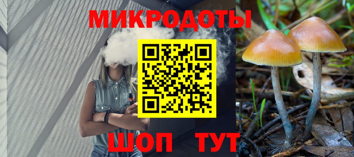 Псилоцибиновые грибы прущие грибы  Вход с VPN  Тавда 